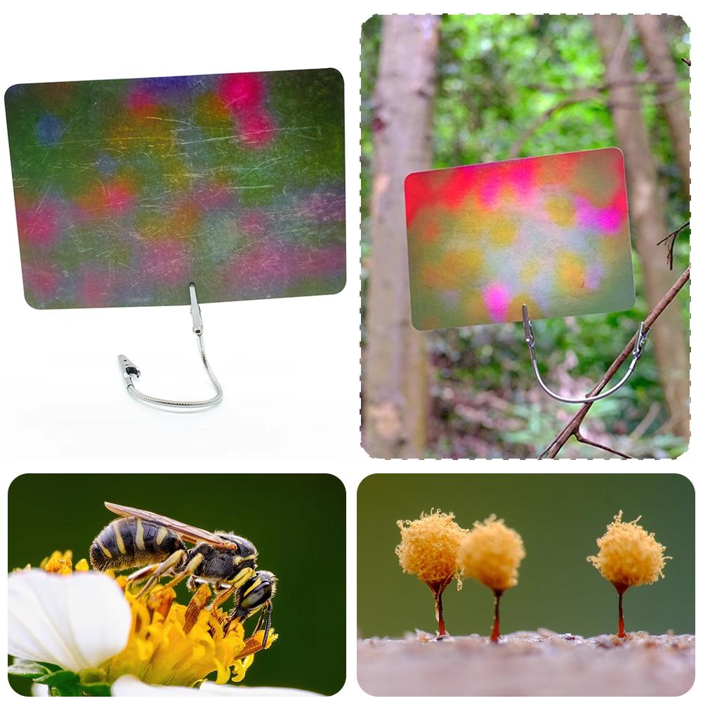 Carte de fond pour macrophotog - Photography Lighting Material avis et prix