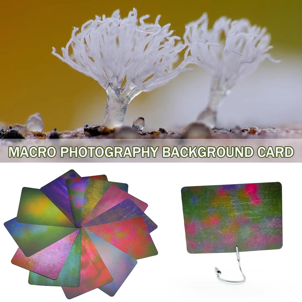 Carte de fond pour macrophotog - Photography Lighting Material avis et prix