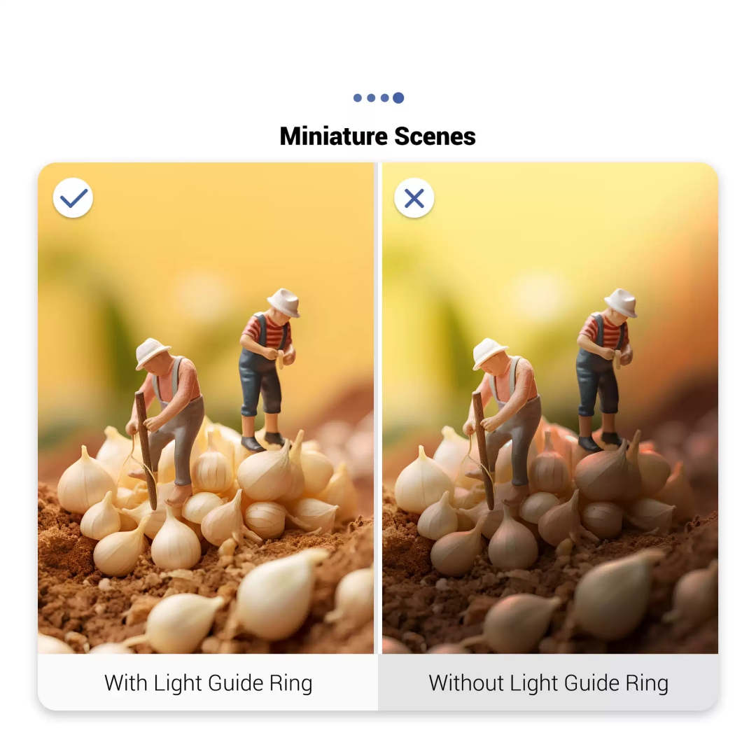 Anneau de guidage de lumière L - Photography Lighting Guides avis et prix