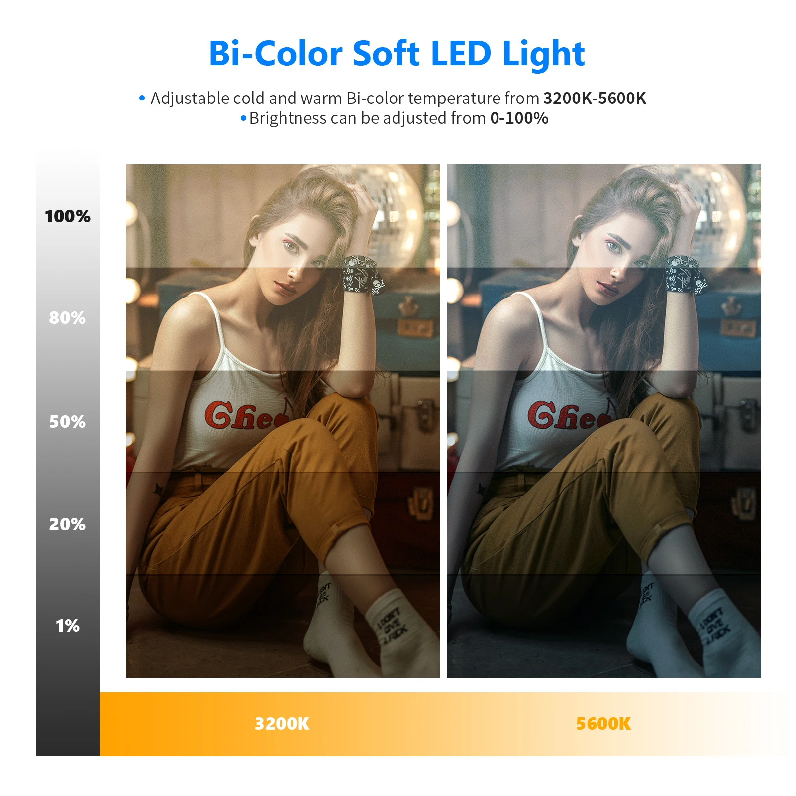 Kit de photographie avec panne - Photography Lighting Kit Neewer avis et prix